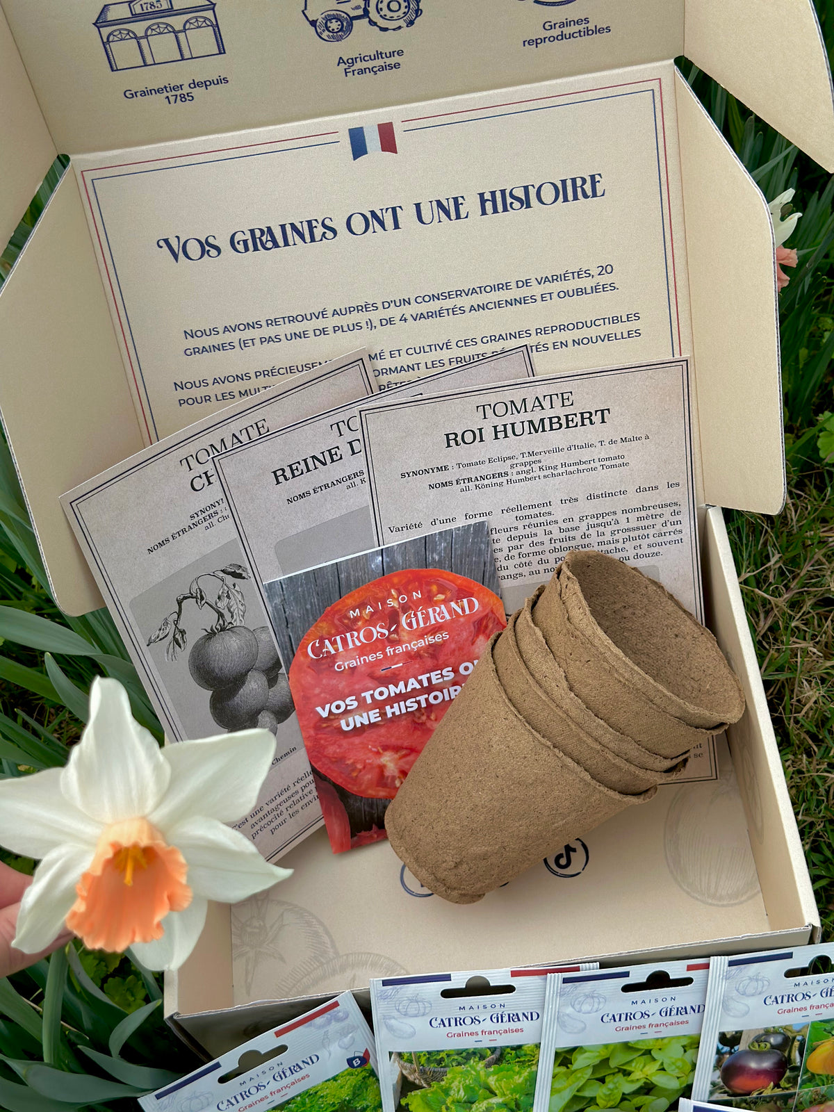 Nouveau coffret de Tomates Anciennes