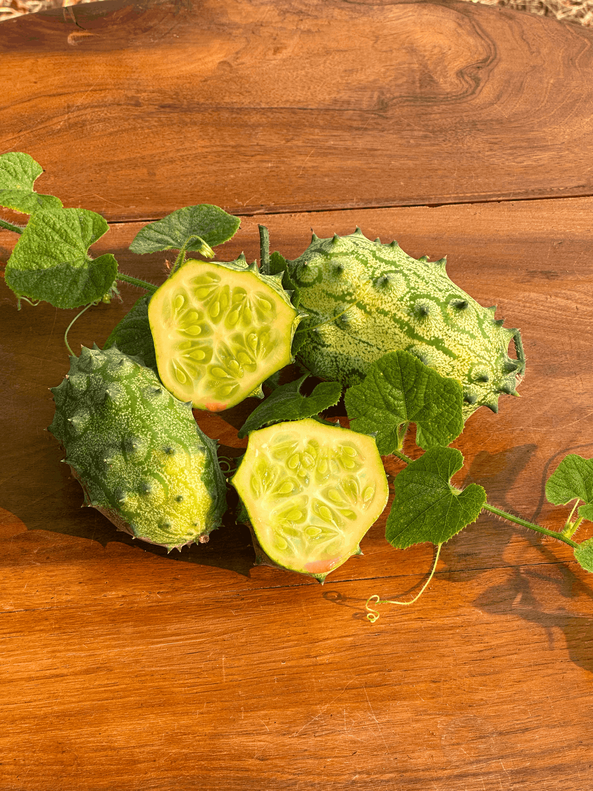Concombre Kiwano
