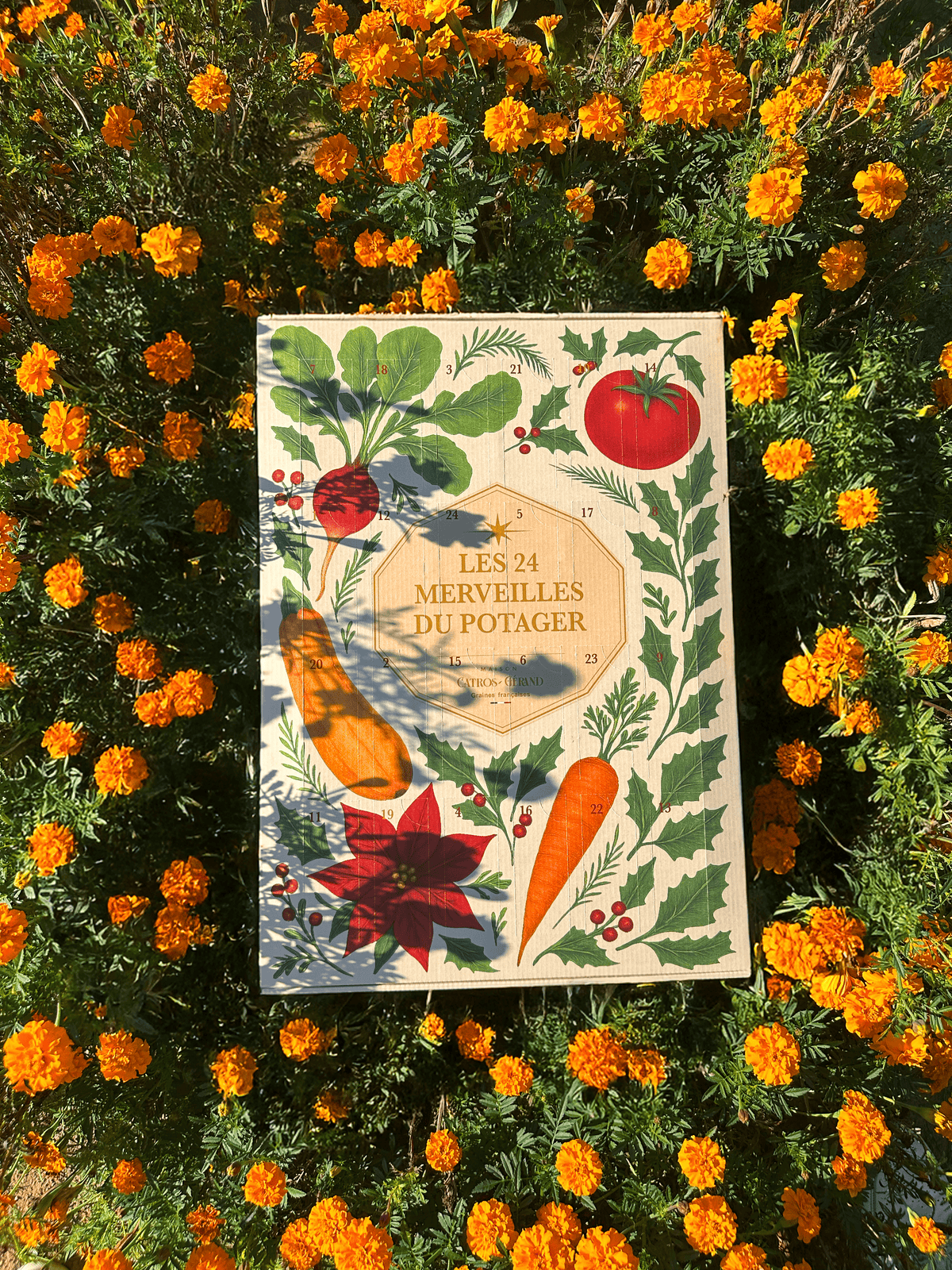 Calendrier de l'Avent: les 24 merveilles du potager