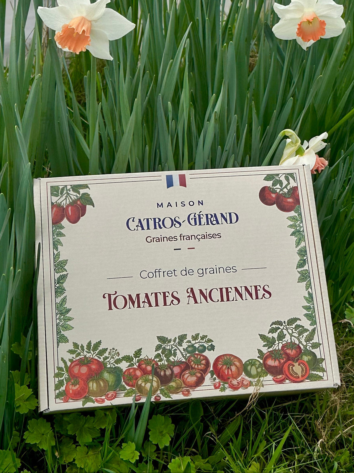 Nouveau coffret de Tomates Anciennes