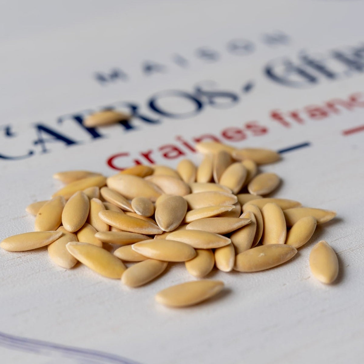 photo de contenance sachet de graine de melon petit gris de Rennes