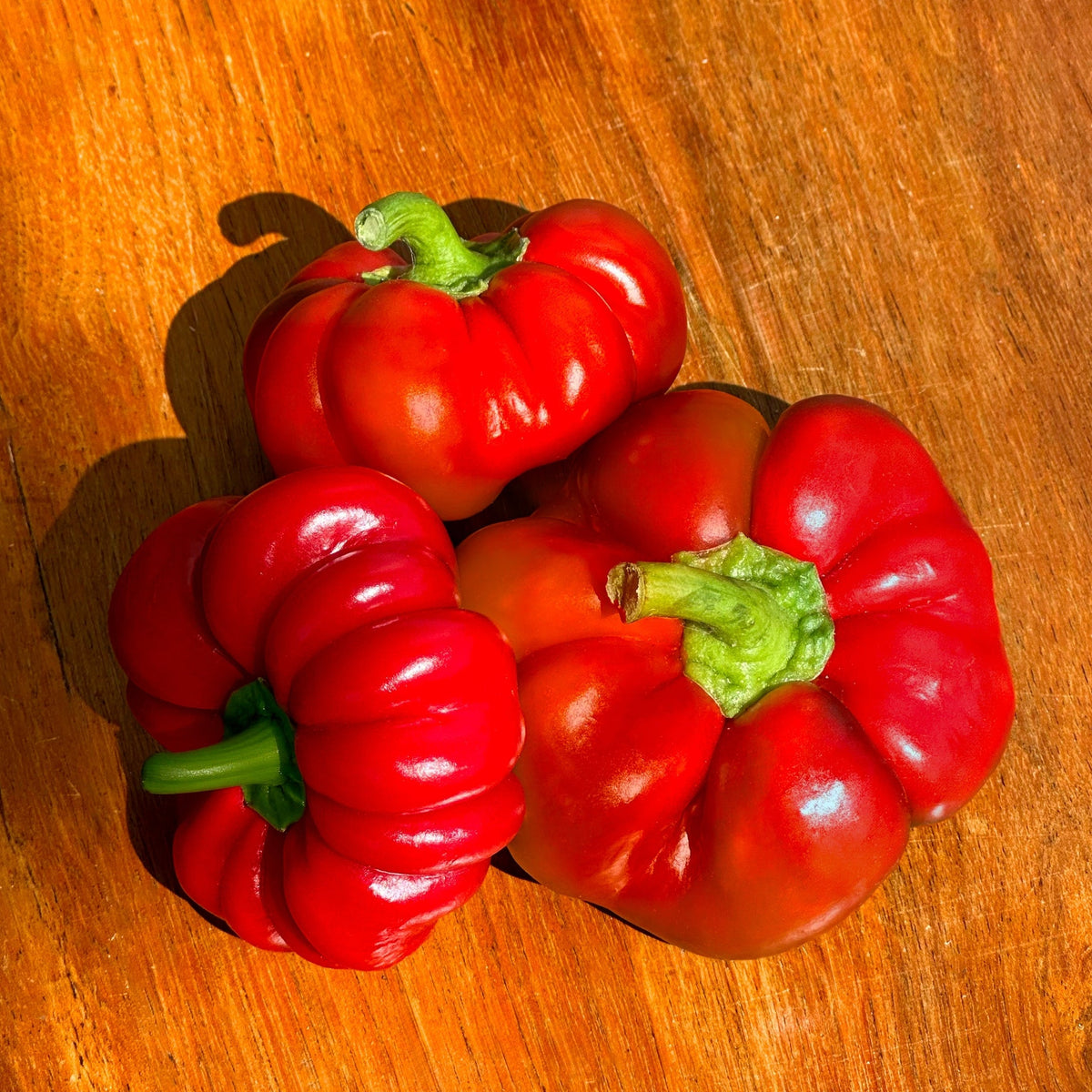 Poivron tomate