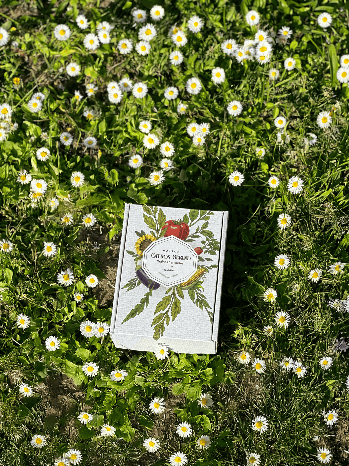 Coffret cadeau pour graines – prêt à offrir