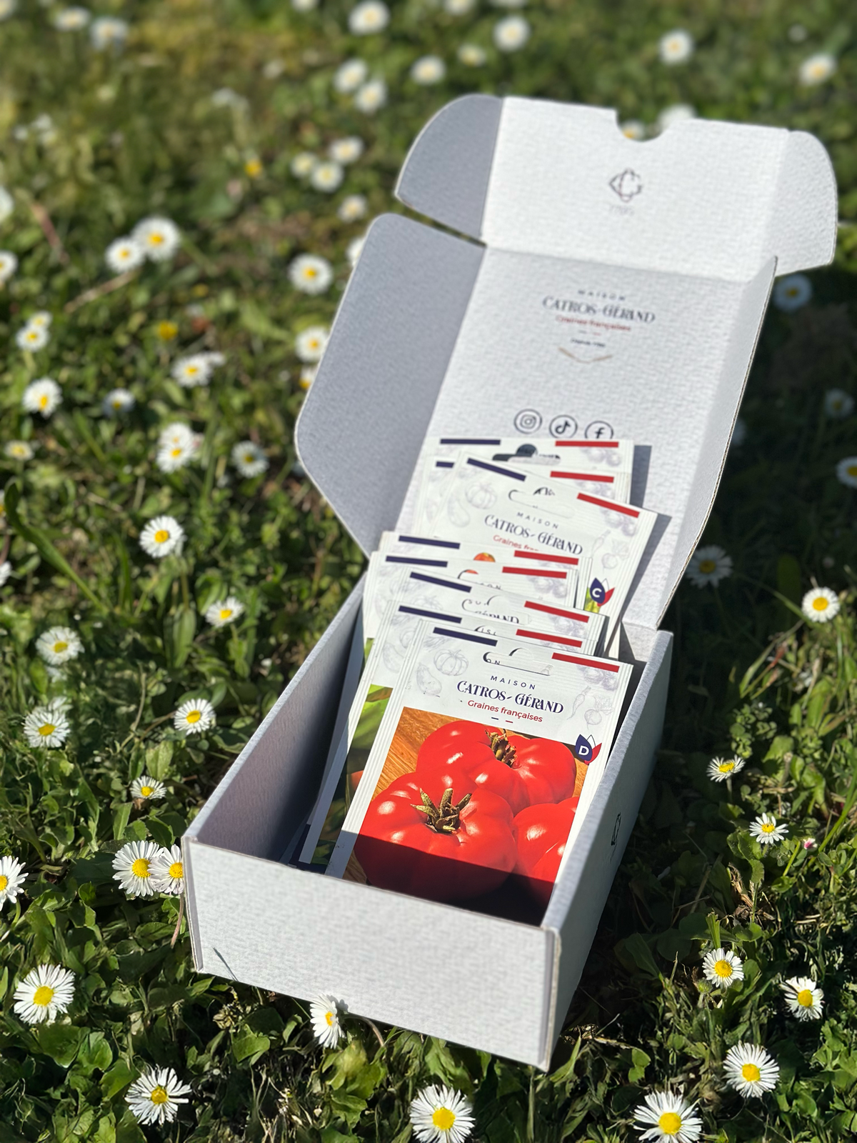 Coffret cadeau pour graines – prêt à offrir